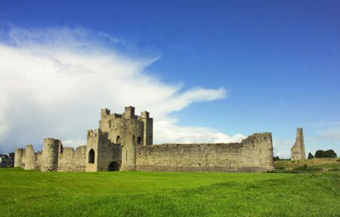 Trim castle